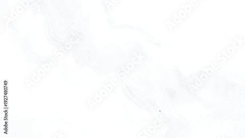 Elegant White Marble Texture. A high-resolution image of a pristine white marble with subtle veins, perfect for showcasing its luxurious texture and pattern.