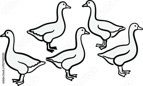 Simple duck outline illustration, black and white hand drawn waterfowl birds clipart isolated on light background for design