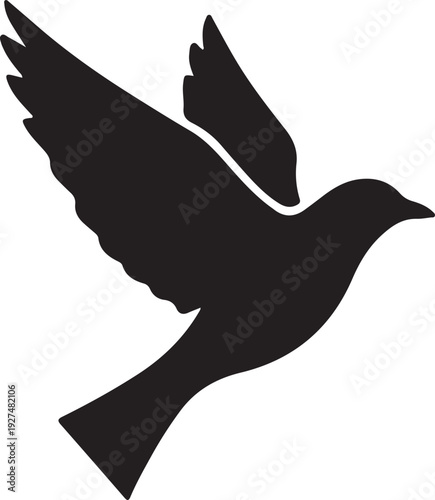 vector illustration of a bird
