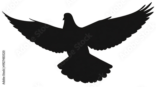 A silhouette of a dove with spread wings, conveying peace and freedom. The bird appears in mid-flight