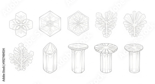 Collection of Mushroom Illustrations in Various Styles.