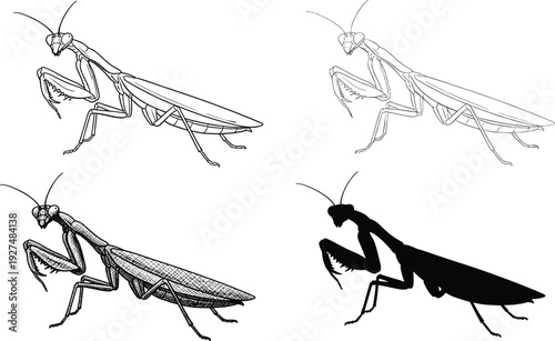 Praying mantis illustration set, detailed line art outline sketch and black silhouette insect collection isolated on white background