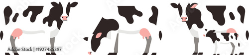 Set of Flat Vector Illustrations of Spotted Black and White Dairy Cows and a Small Calf Isolated on White Background for Farm Animal Design