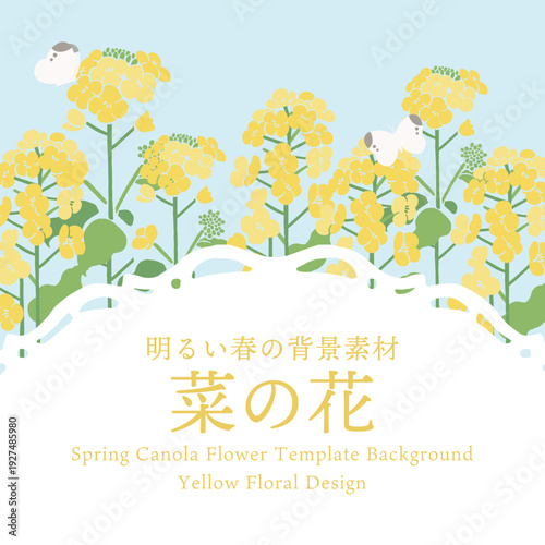 Textile Style Canola Flower (Nanohana) Vector Template | Spring Floral Background Illustration