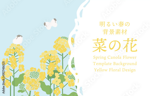 Textile Style Canola Flower (Nanohana) Vector Template | Spring Floral Background Illustration