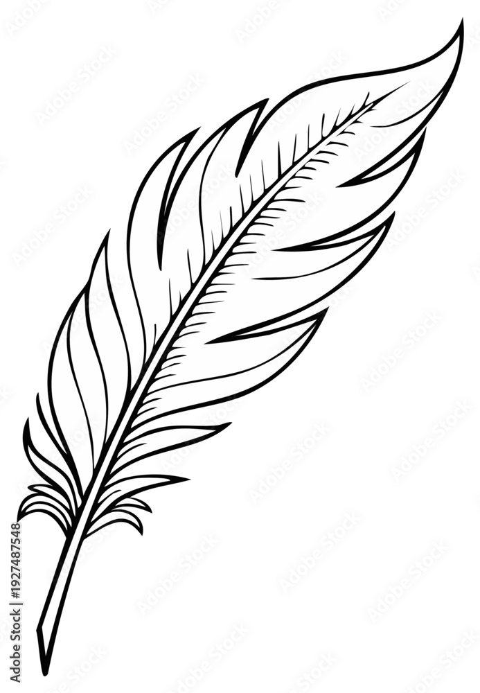 Obraz premium Elegant quill feather illustration for creative designs; detailed line art featuring plume and barbs on light background