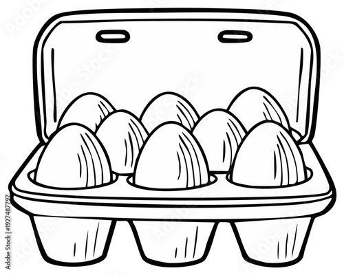 Carton of fresh white eggs in individual compartments for cooking and baking
