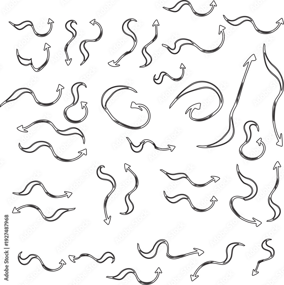 Fototapeta premium Set of decorative vector floral elements and silhouettes for design and decoration