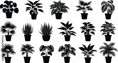 Indoor potted plant silhouette collection set of tropical houseplant monstera palm and succulent icons isolated on white background vector illustration