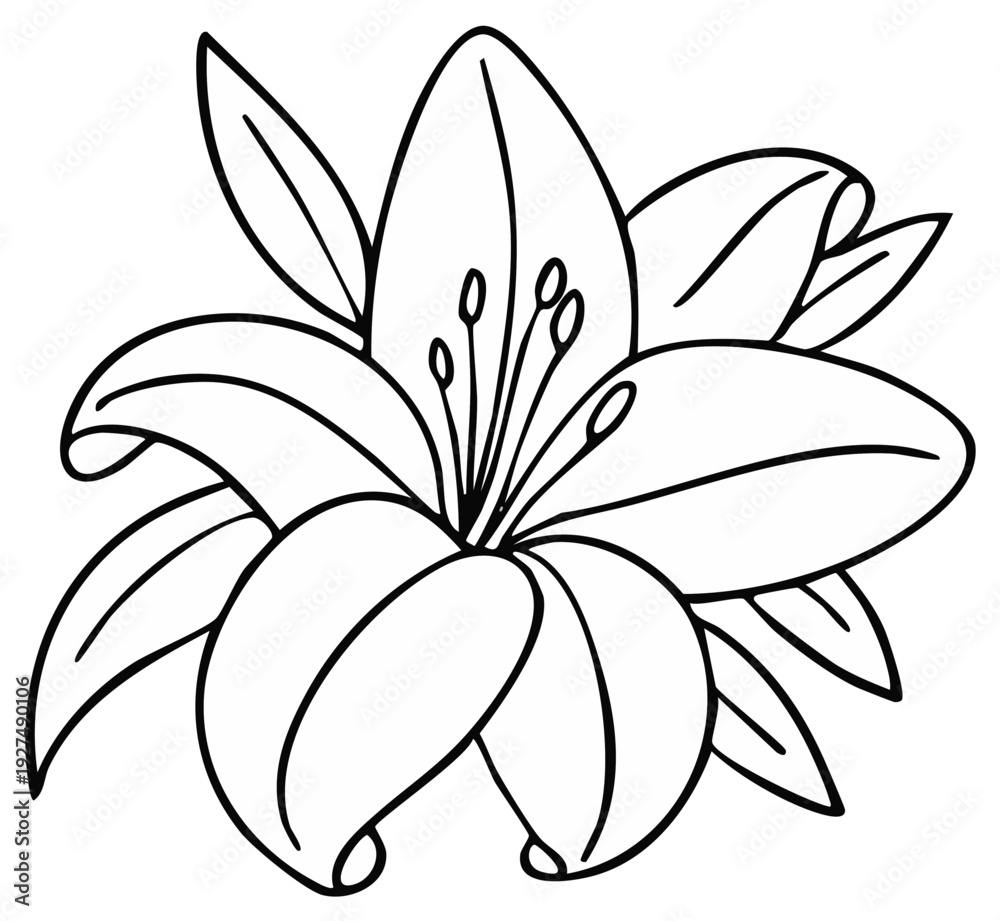 Obraz premium Line Drawing of a Blooming Lily Flower with Leaves