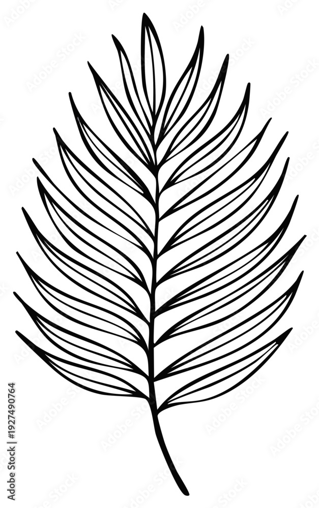 Obraz premium Minimalist Tropical Palm Leaf Line Art Illustration