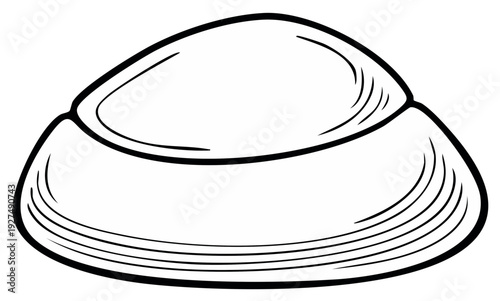 Hand-Drawn Illustration of a Seashell