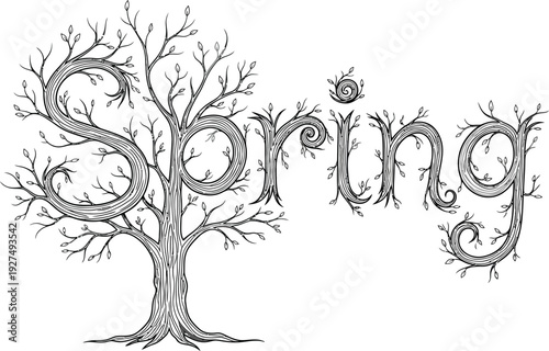 Creative hand-drawn illustration depicting the word 'Spring' naturally formed by intricate tree branches and a sturdy trunk, symbolizing growth and renewal.