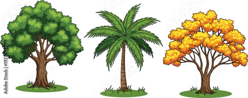 different tree types, green leaf tree, yellow autumn tree, tropical coconut palm, nature vector illustration, trees on grass, seasonal tree set, landscaping design 