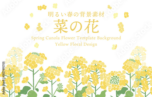 Textile Style Canola Flower (Nanohana) Vector Template | Spring Floral Background Illustration