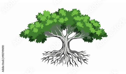 Hand Drawn Green Tree with Detailed Roots Organic Nature Vector Illustration on White Background amd tree