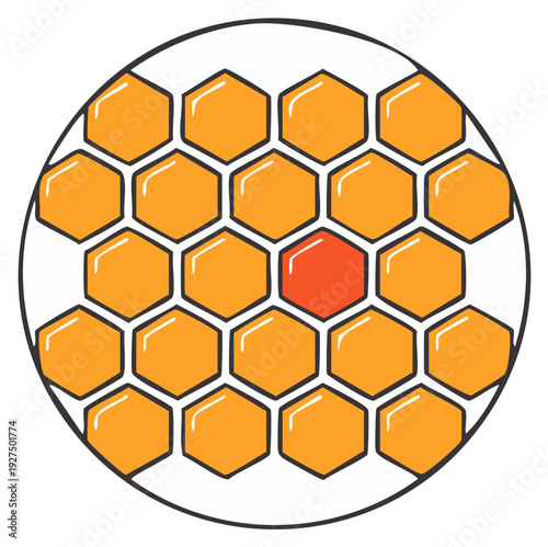 Honeycomb pattern with one distinct red hexagonal cell