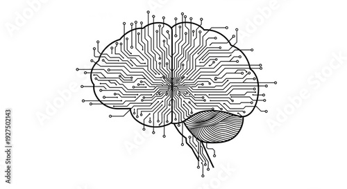 Detailed illustration of human brain anatomy from a top-down viewpoint showcasing neural pathways and structures