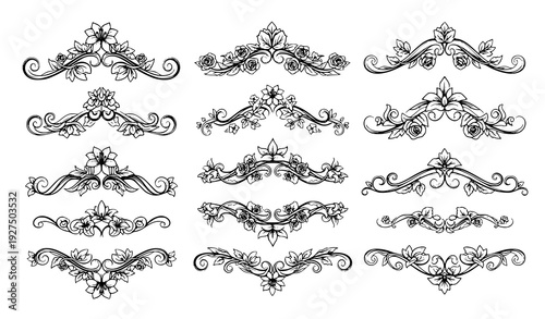 Floral ornamental decorative divider vector collection