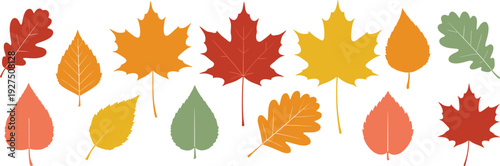 Collection of Colorful Autumn Leaf Silhouettes Featuring Maple Oak and Birch Leaves in Red Orange Yellow and Green for Fall Season Nature Design Assets