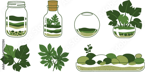 Terrarium Vector Illustration Set with Glass Jar Succulent Plants Moss Rocks and Green Monstera Leaf Icons for Home Gardening and Eco Decor Design
