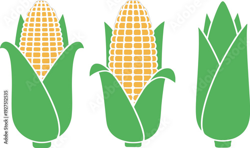 Fresh Corn on the Cob Vector Illustration Set with Yellow Maize Ear Green Husk and Organic Farm Vegetable Icons for Agriculture Design