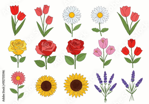 Colorful Floral Collection with Diverse Flower Varieties