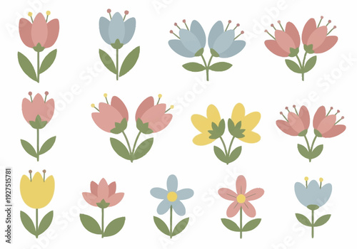 Colorful Floral Collection for Spring Celebrations