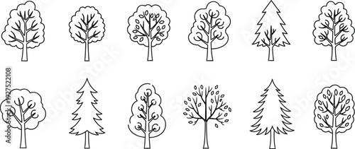 A collection of 12 different tree species illustrated in black and white