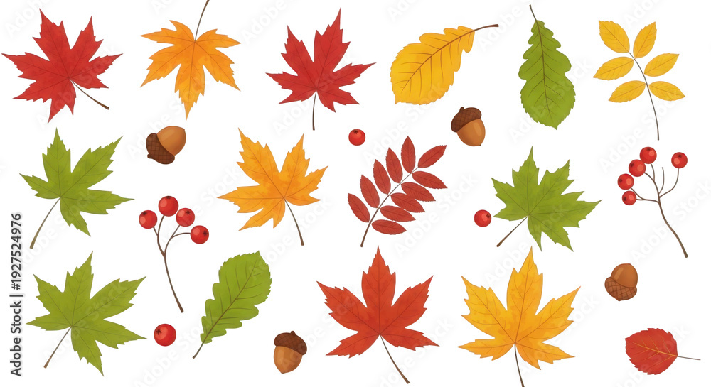 Fototapeta premium Autumn leaves and forest elements collection, colorful fall foliage set with maple and oak leaves, seasonal botanical illustrations for thanksgiving decor