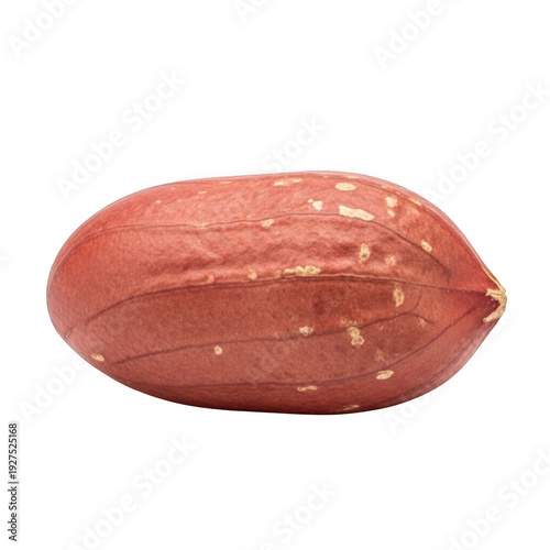 Single peanut with red skin and textured surface on black legume