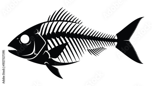 A black and white image of a fish skeleton isolated on white background, Vector