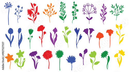Set of colorful wild flowers and plants silhouettes nature botanical elements collection