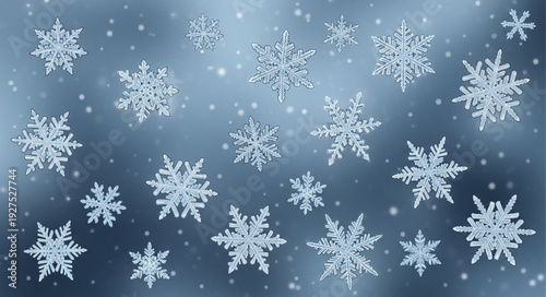 Snowflakes Falling from the Sky.