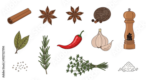Culinary spice and herb collection isolated vector illustrations for design