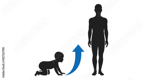 A baby crawling next to a grown up isolated on white background, Vector