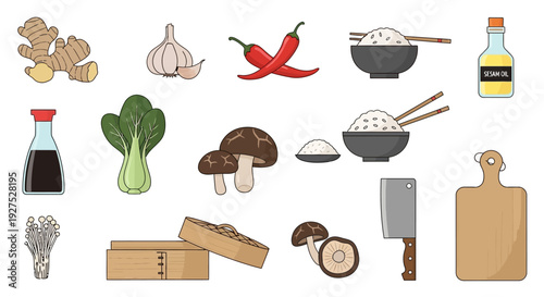 Asian cuisine ingredients and utensils vector illustration of food preparation
