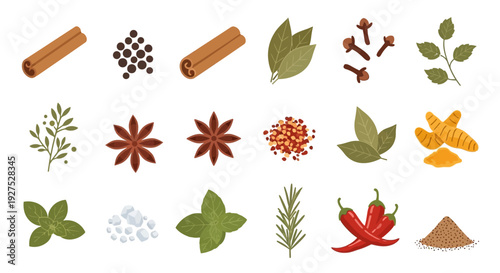 Variety of spices displayed against white background for culinary and design purposes
