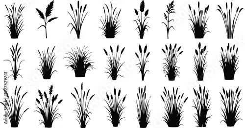Black silhouette image of cattails and grasses, carefully arranged in rows. Each silhouette exhibits slight variations in shape, size, and density, creating an interesting and dynamic visual effect.