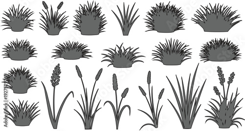 The image features a diverse assortment of grass and reed silhouettes presented in black and white. The plants are organized into several rows, showcasing a range of shapes and thicknesses that 