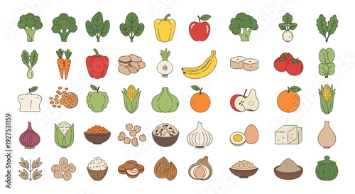 Collection of various fresh vegetables and fruits illustrations in flat style