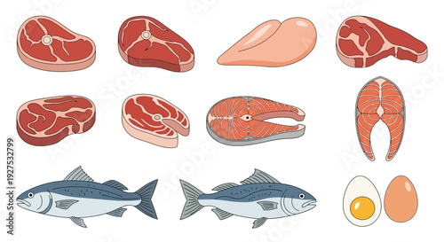 Assortment of freshly cut meats and seafood for culinary and dietary use