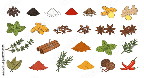 Various colorful spices and herbs arranged in a symmetrical pattern on a white background