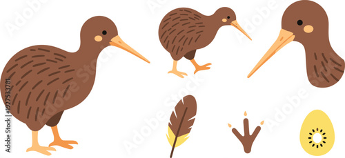 Kiwi Bird Vector Illustration Set with Cute Brown Flightless Bird Character Icons Feather Footprint and Sliced Kiwi Fruit for New Zealand Nature Design
