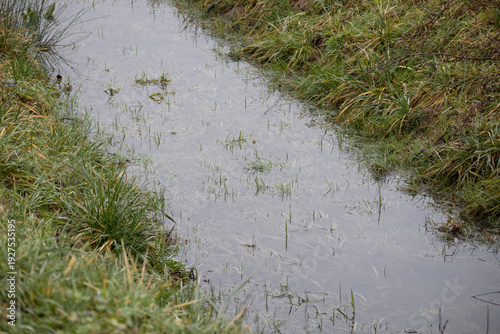 Quadro su tela Shallow drainage ditch with standing water and green grass