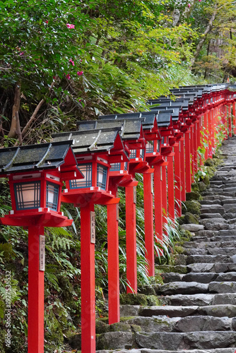 京都貴船神社の朱塗りの灯籠が立ち並ぶ参道の石段
