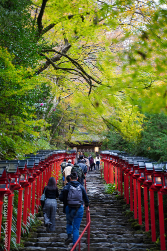 京都貴船神社の朱塗りの灯籠が立ち並ぶ参道の石段