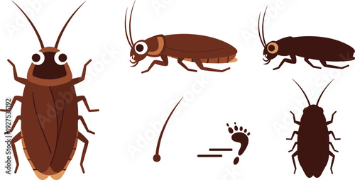 Cockroach Vector Illustration Set with Brown Beetle Bug Characters Silhouette and Pest Control Infestation Icons for Hygiene and Sanitization Design