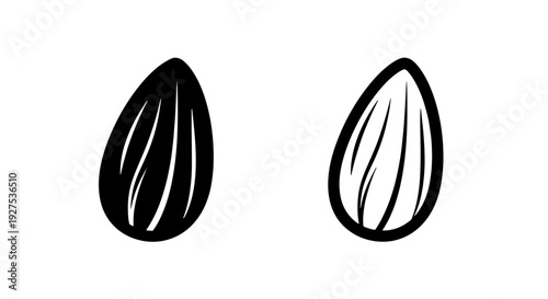 Almond nut icons: solid black and outline vector illustration for food