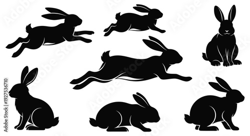 Black silhouettes of rabbits in various poses including jumping and sitting